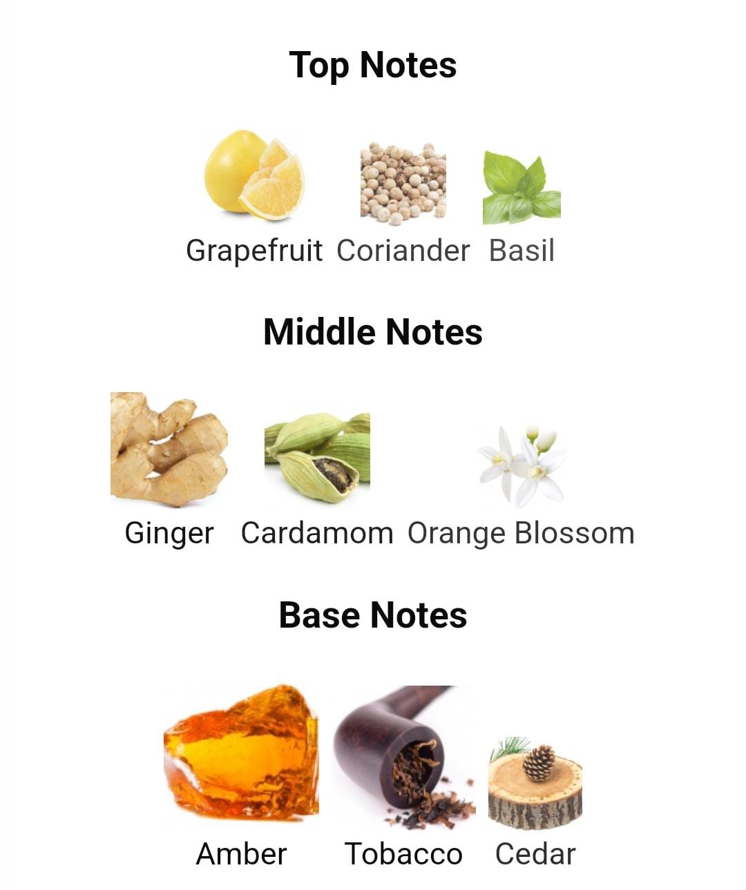 SERAPHYL D’orée 100 ML